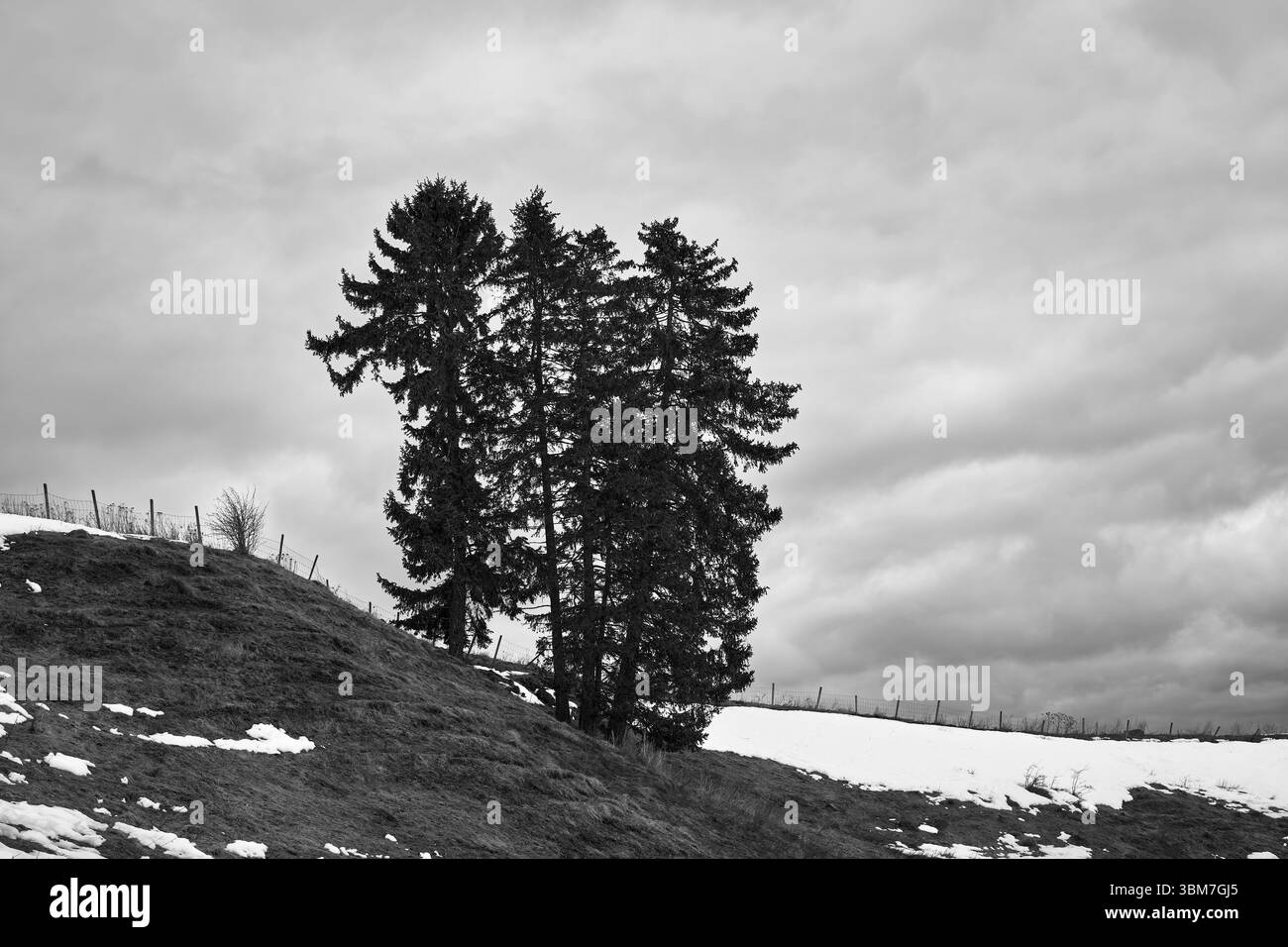 Aus der Kulturlandschaft von Toten by Balke ein grauer Tag im Spätwinter. Stockfoto