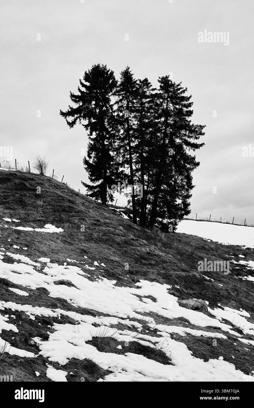 Aus der Kulturlandschaft von Toten by Balke ein grauer Tag im Spätwinter. Stockfoto
