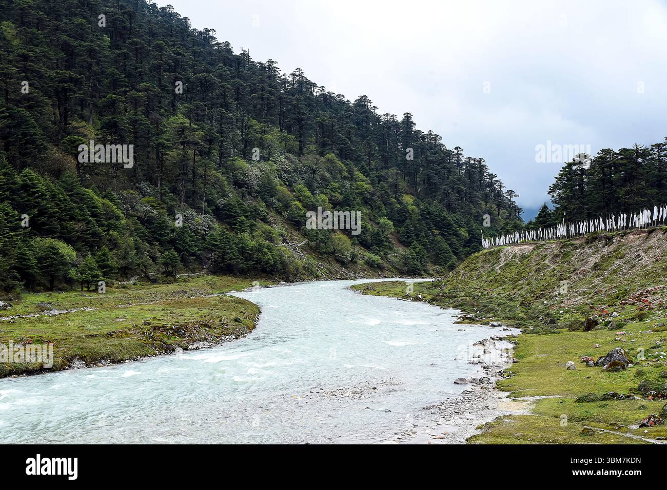 Ein atemberaubender Blick auf das Yumthang Valley in North Sikkim, Indien, mit einem unberührten Bergfluss, der sich durch eine dramatische Himalaya-Landschaft schlängelt. Stockfoto