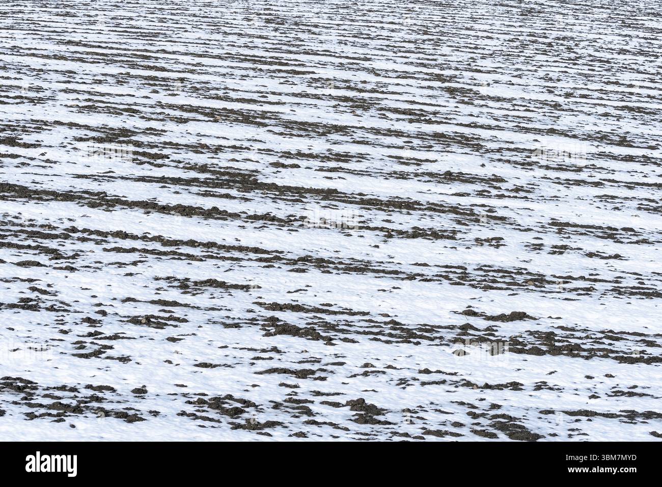 Schmelzender Schnee auf einem gepflügten Feld im April. Stockfoto