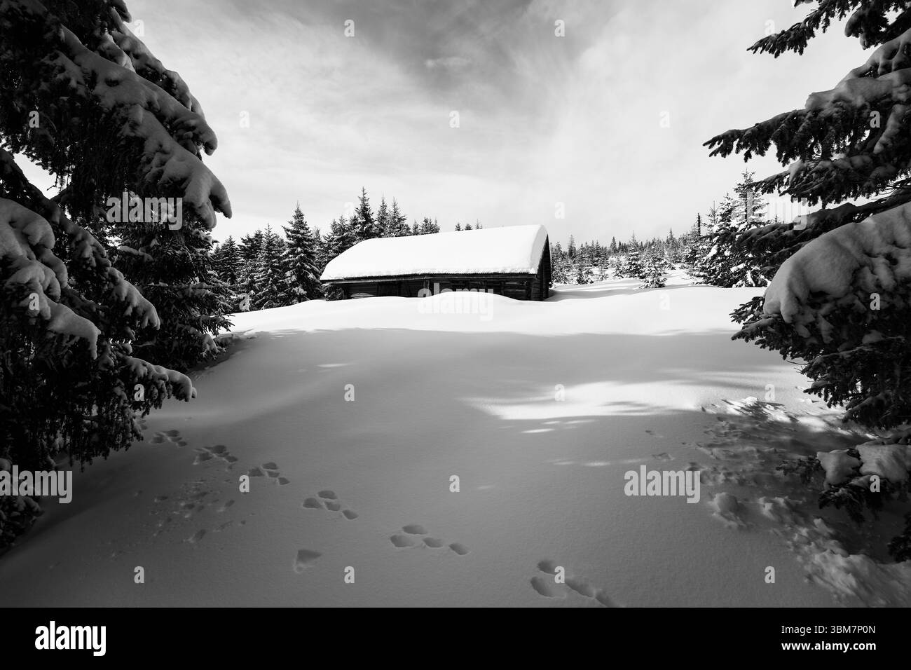 Bild von den Anfinnseter Sommerhöfen der Totenaasen Hügel, Norwegen, im Winter. Stockfoto
