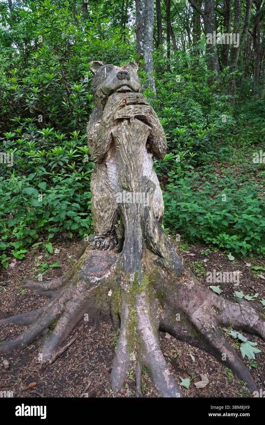 Troon, Schottland, Großbritannien - 08. Juni 2025: Fullarton Woods in der Nähe von Troon mit seinen vielen handgeschnitzten Holzschnitzereien von waldtieren. Stockfoto