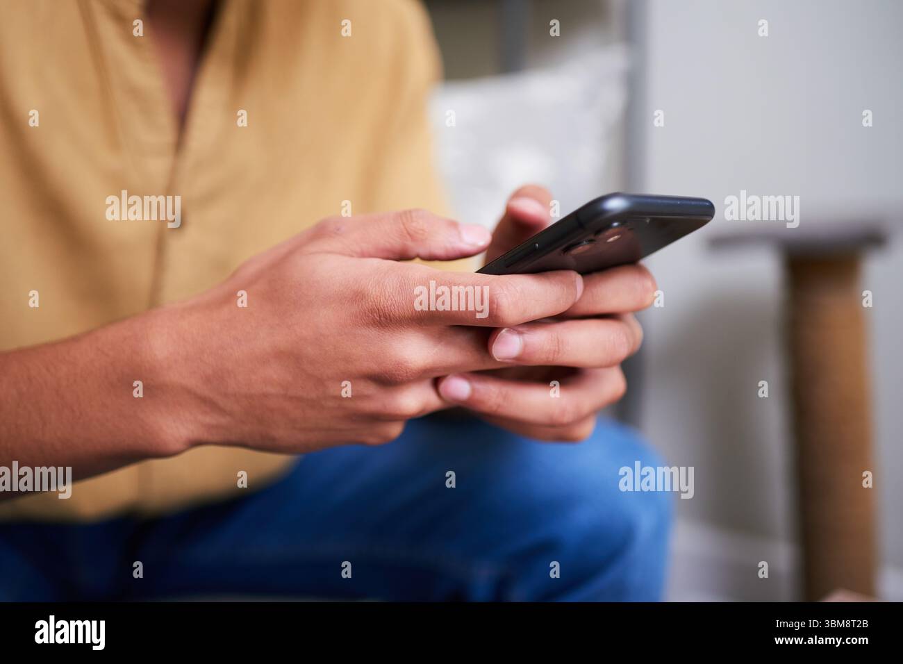 Hände halten das Smartphone während des Surfens oder Tippens zu Hause in entspannter Atmosphäre Stockfoto