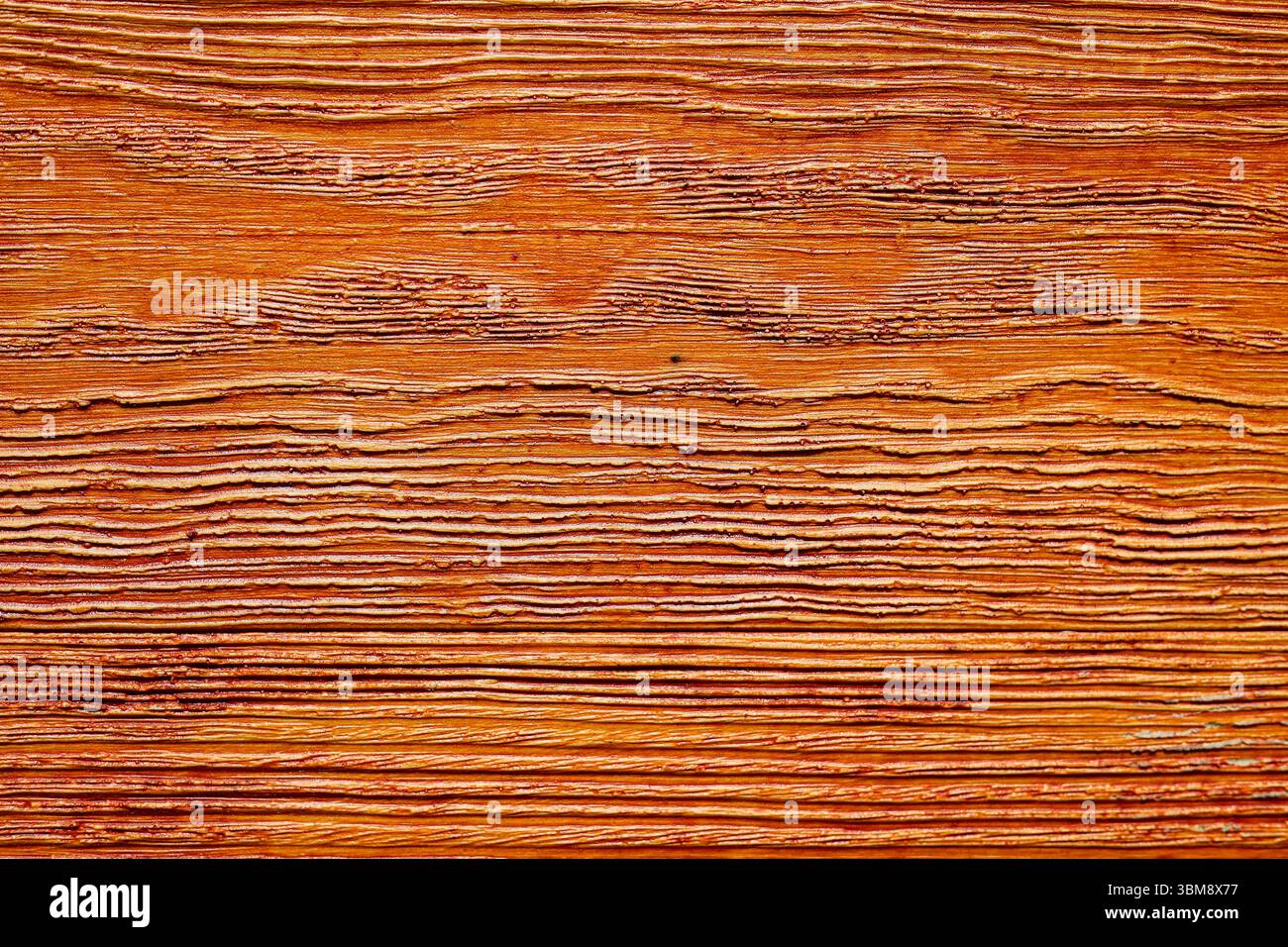 Orangefarbene, synthetische, verklebte Holzpaneele Wandtextur Nahaufnahme Stockfoto
