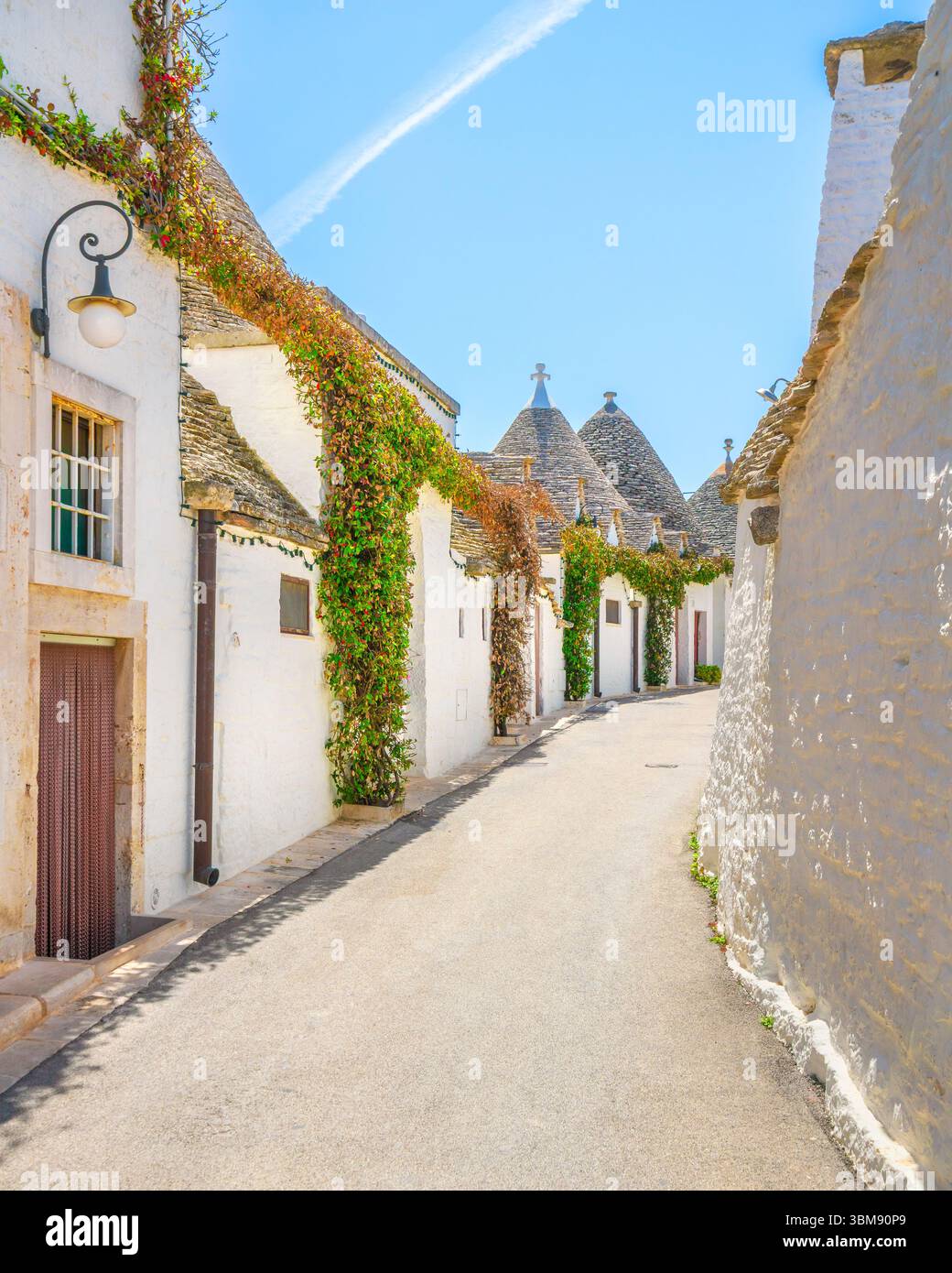 Trulli typische Häuser in der Alberobello Straße. Provinz Bari, Apulien oder Region Apulien, Italien. Stockfoto