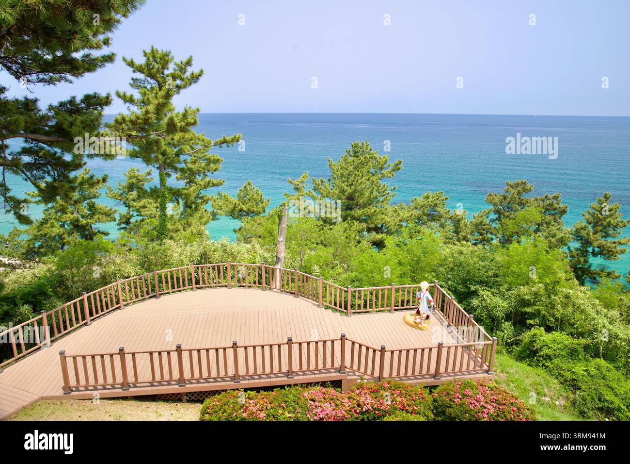 Uljin County, Südkorea - 31. Mai 2025: Ein weiter Blick auf die Küste von der Aussichtsplattform am Sunrise Plaza des Mangyang Pavillons, wo Kiefern und Tannenbäume zu sehen sind Stockfoto