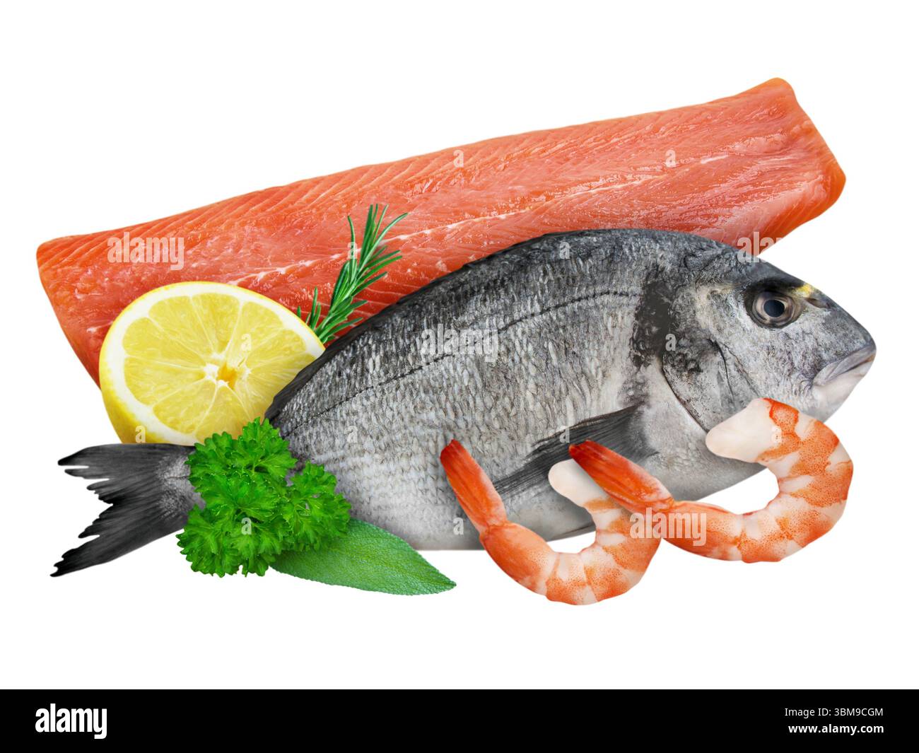 Fisch und Meeresfrüchte isoliert auf weißem Hintergrund Meeresbrassen Garnelen Lachsfilet Stockfoto