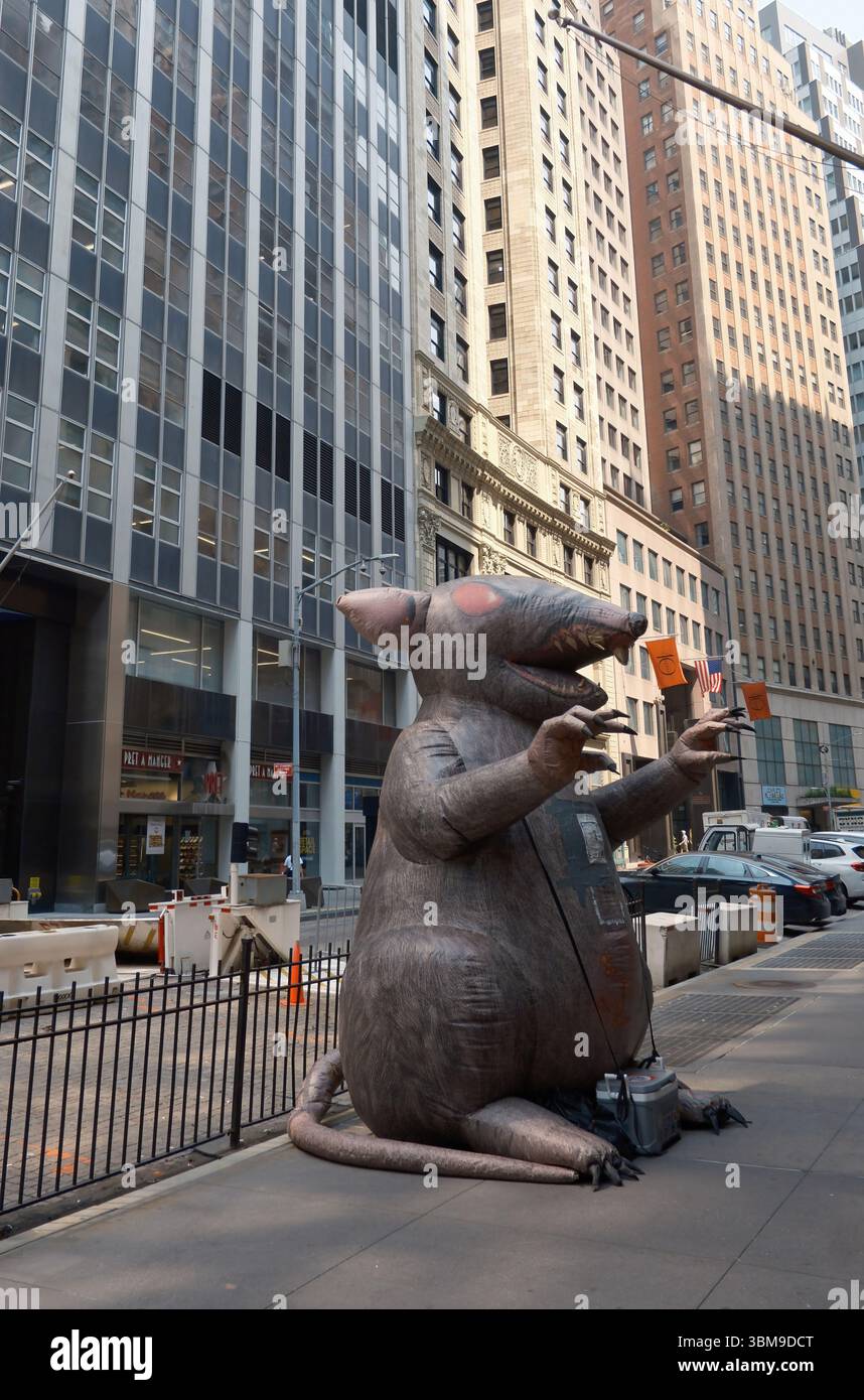 Riesige aufblasbare Ratte, installiert von Gewerkschaftern im Financial District in New York City, Juni 2025 Stockfoto