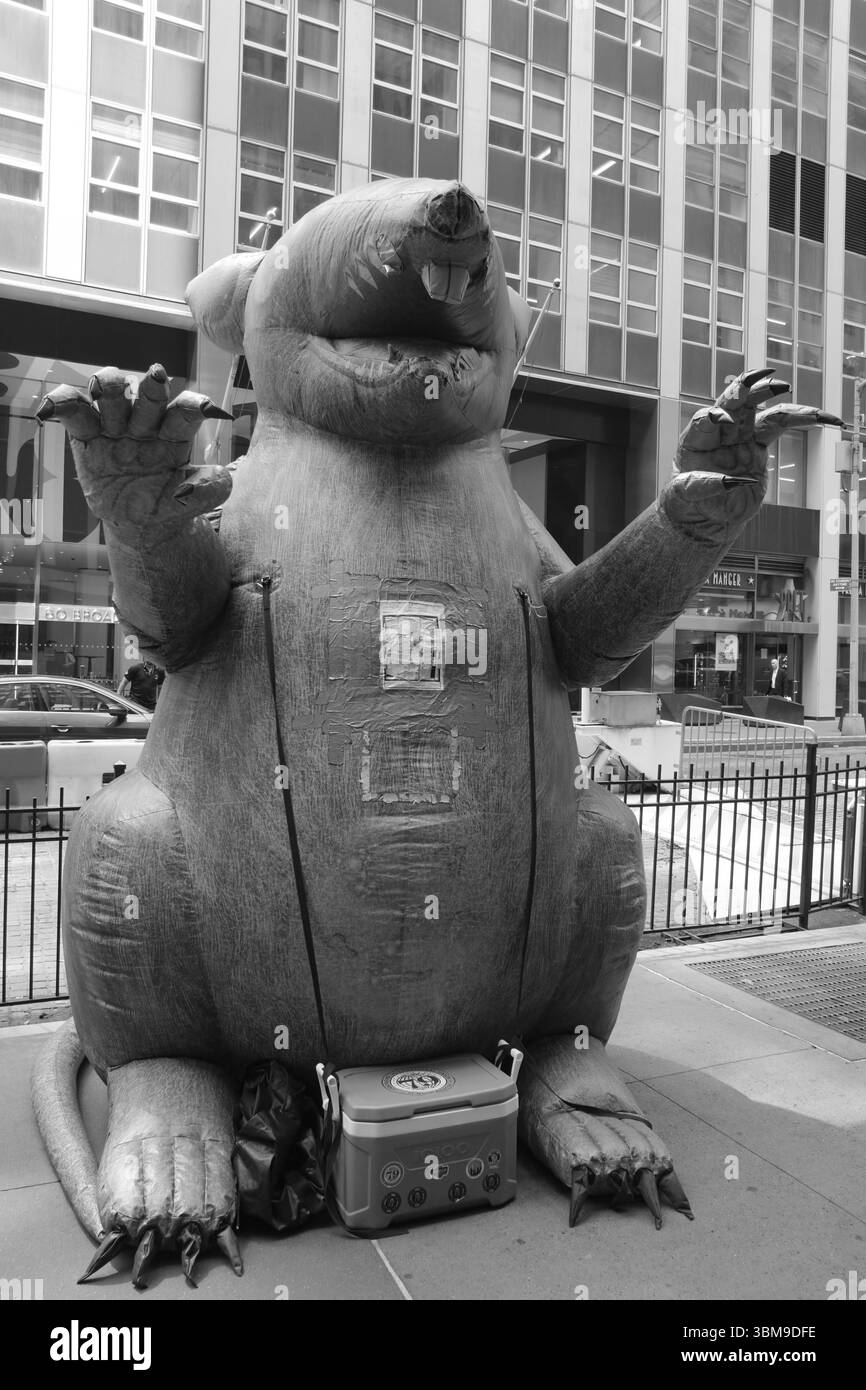Riesige aufblasbare Ratte, installiert von Gewerkschaftern im Financial District in New York City, Juni 2025 Stockfoto