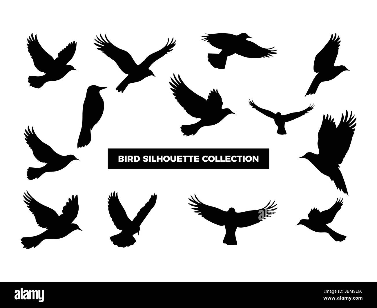 Hochwertige Vektor-Vogel-Silhouetten in verschiedenen Posen, fliegen, ruhen und hocken. Ideal für Logos, T-Shirts, Poster und Design-Projekte mit Naturmotiven Stock Vektor