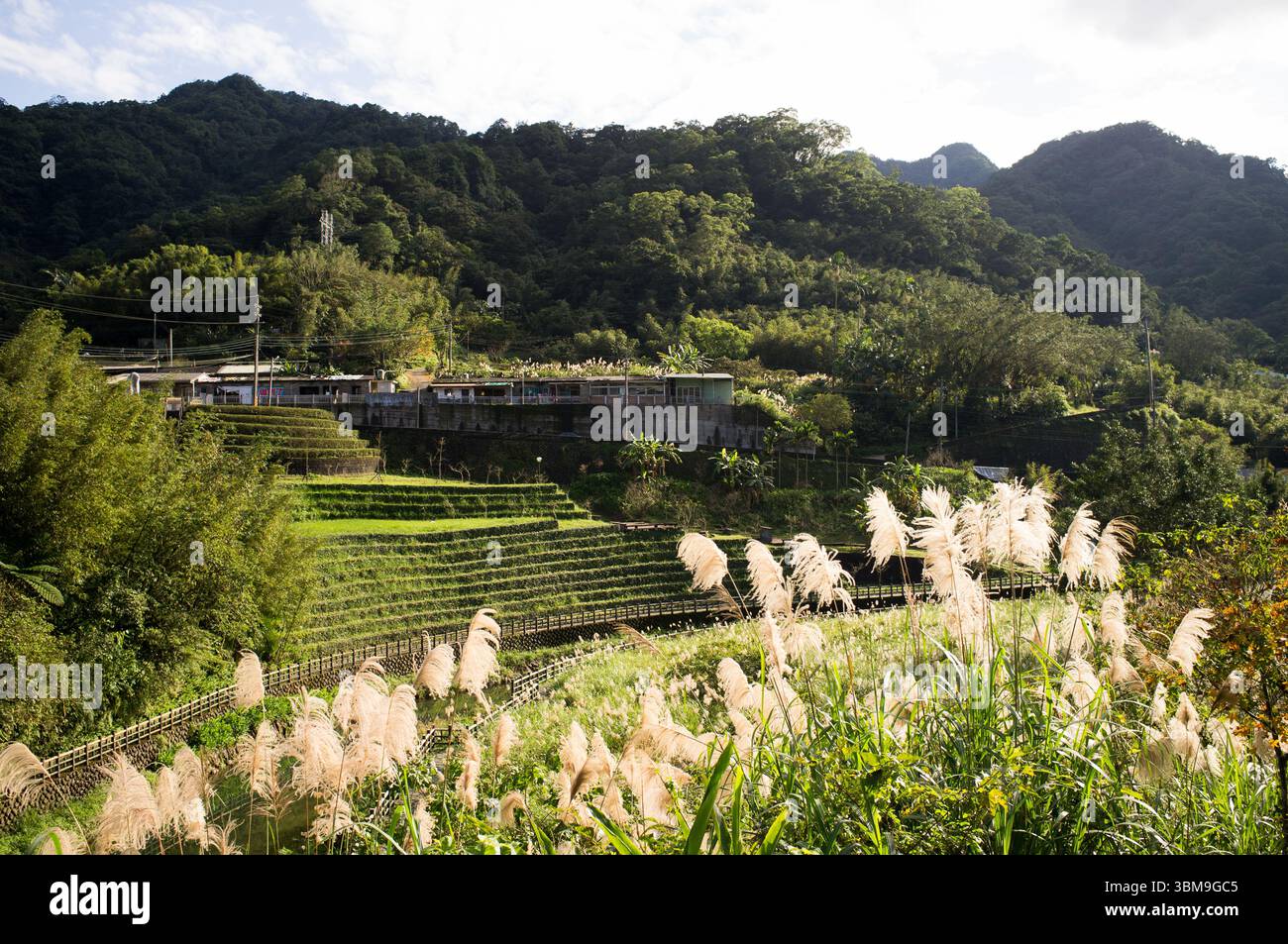 Malerische Aussicht auf ein kleines Dorf in der Landschaft von Taipeh, umgeben von üppigem Grün und Terrassenfeldern, die die Harmonie zwischen Natur und Ru einfangen Stockfoto