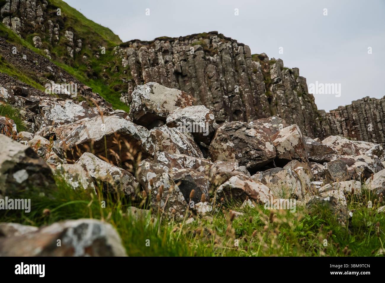 Giant's Causeway. Basaltgesteinsformationen und sechseckige Säulen am Naturwunder in Nordirland. Stockfoto