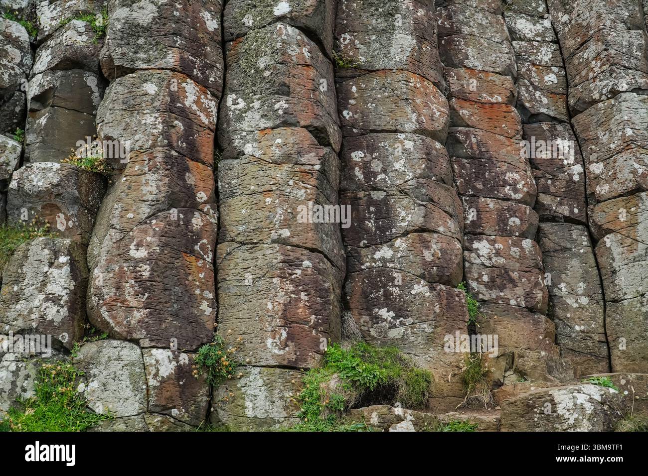 Giant's Causeway. Nahaufnahme sechseckiger Basaltsäulen, die natürliche geometrische Muster bilden. Einzigartige Gesteinsformation im Vereinigten Königreich. Stockfoto