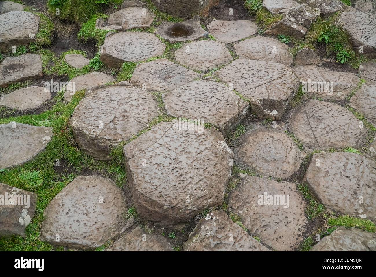 Giant's Causeway. Nahaufnahme der ineinander greifenden sechseckigen Basaltsäulen, einer einzigartigen natürlichen Felsformation an der Küste Nordirlands. Stockfoto