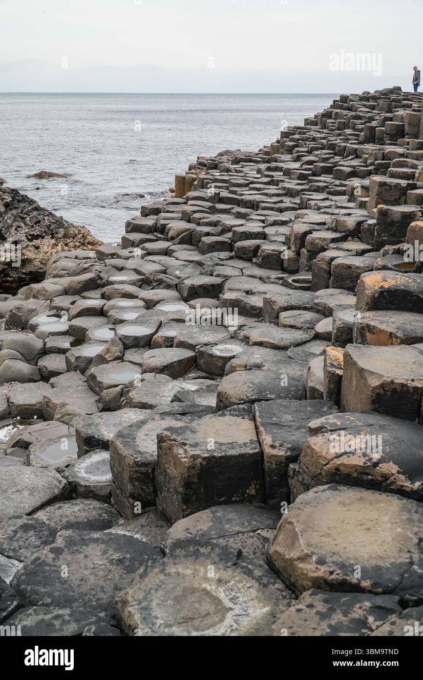 Giant's Causeway. Ineinander greifende Basaltsäulen an der Küste Irlands, eine einzigartige natürliche geologische Formation. Stockfoto