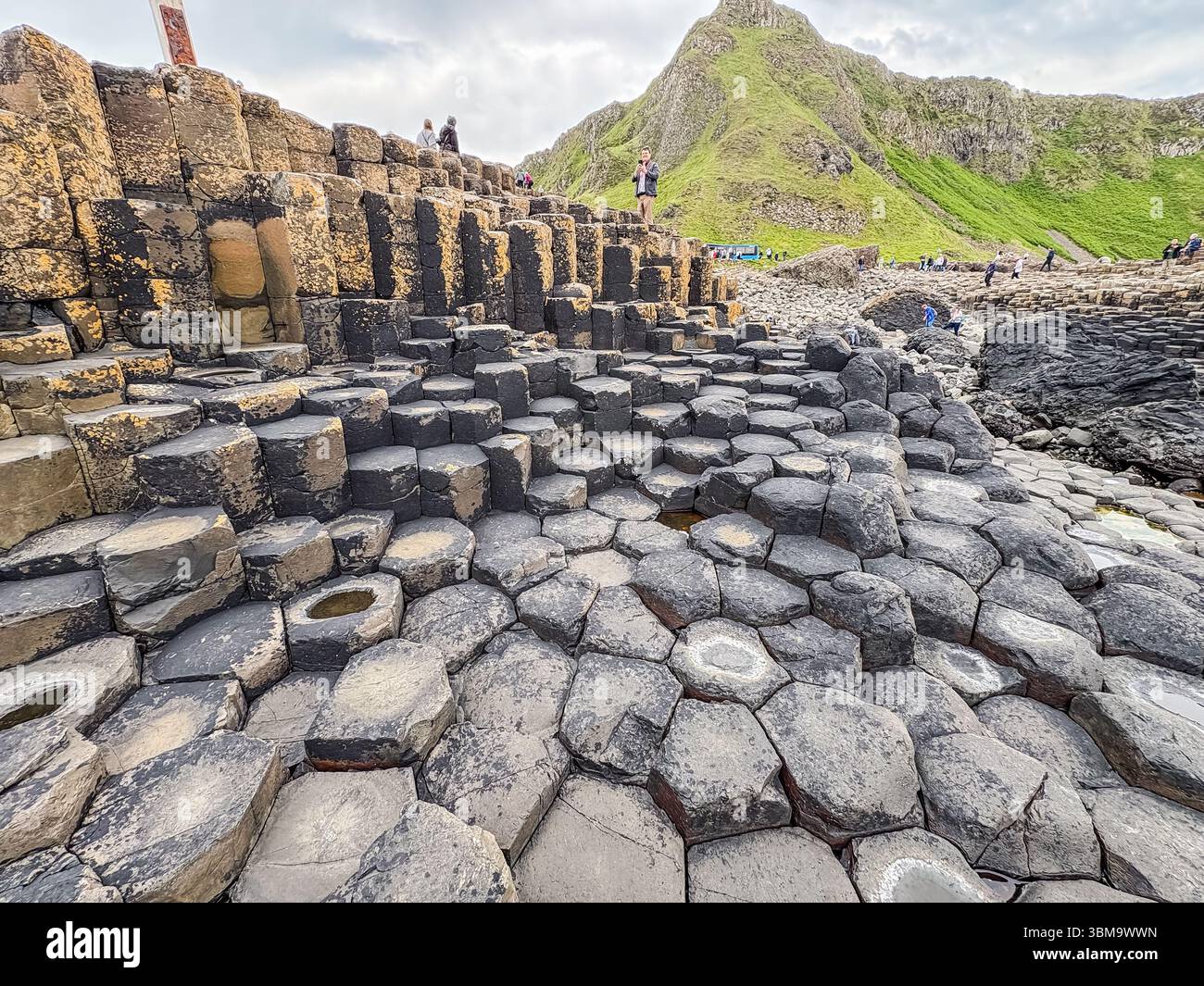 Giant's Causeway. Einzigartige sechseckige Basaltsäulen, die durch antike vulkanische Aktivität an der Antrim Coast in Nordirland gebildet wurden. Ein geschütztes natürliches lan Stockfoto