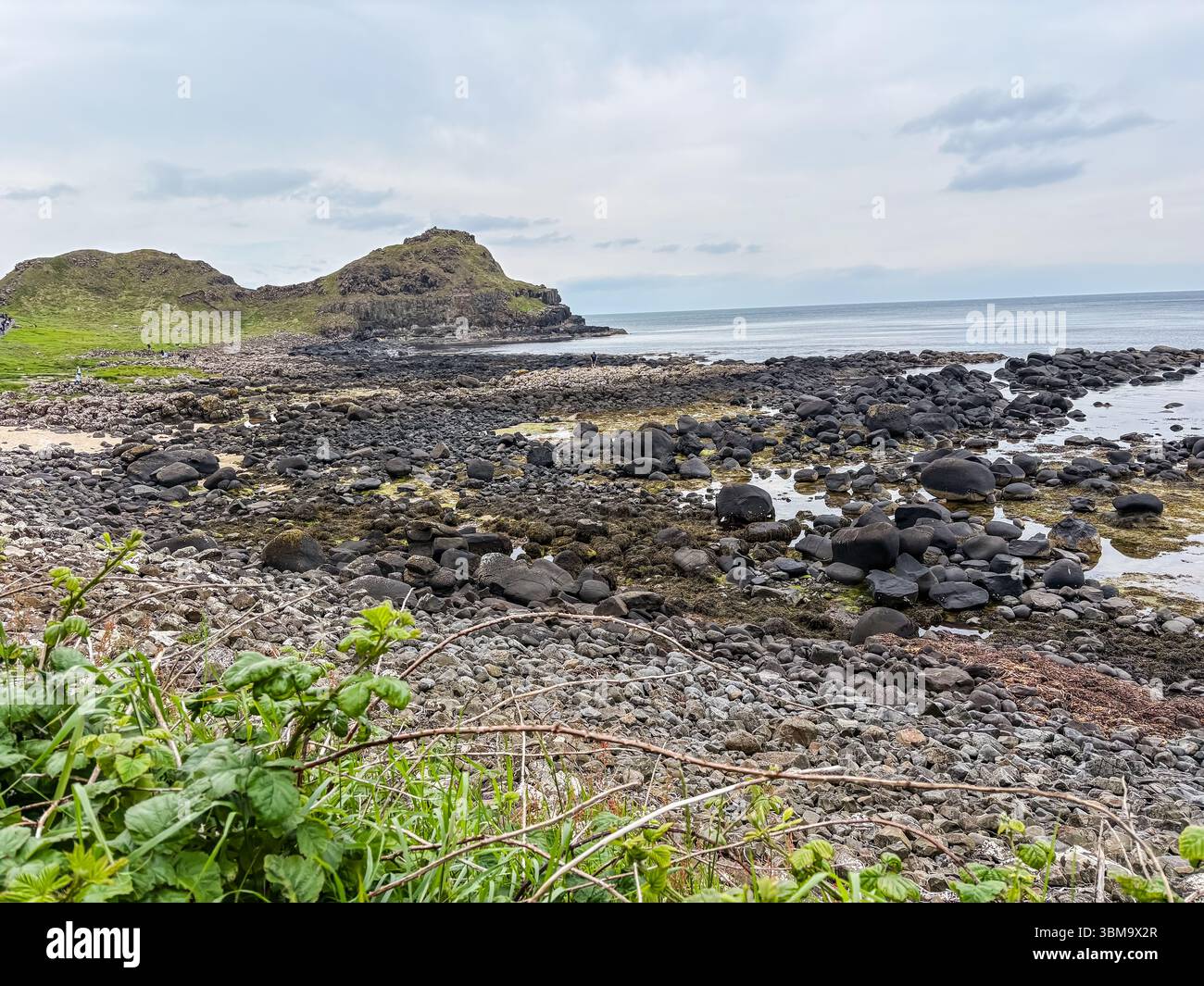 Giant's Causeway. Blick auf die einzigartigen sechseckigen Basaltfelssäulen, die sich entlang der Küste ins Meer erstrecken. Berühmtes Naturwunder und Touristenattra Stockfoto