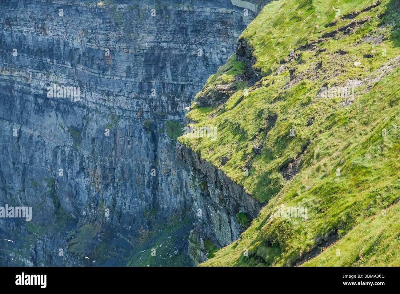 Cliffs of Moher. Dramatische geschichtete Felswände und grasbewachsene Hänge dieses natürlichen Wahrzeichens an der zerklüfteten Küste Irlands. Stockfoto