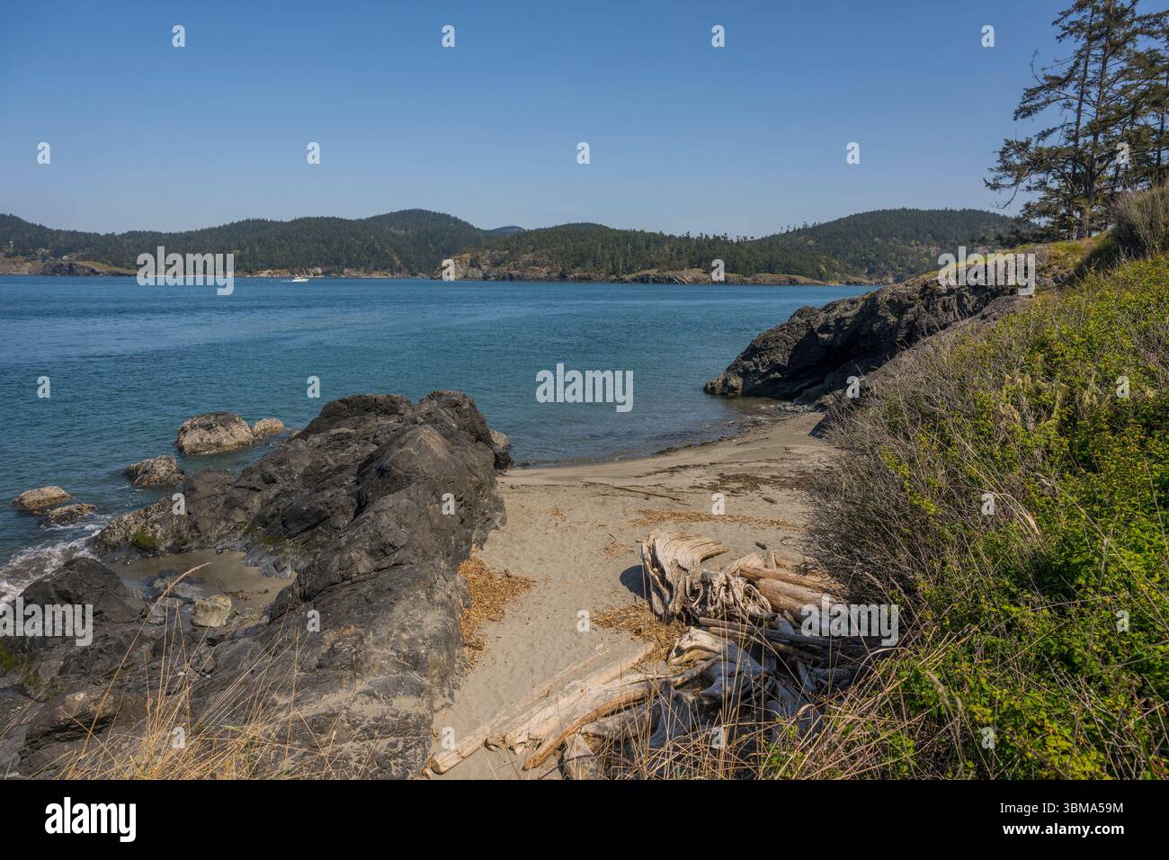 Blick auf den Deception Pass vom North Beach of Deception Pass State Park, Whidbey Island, Washington State, USA. Stockfoto