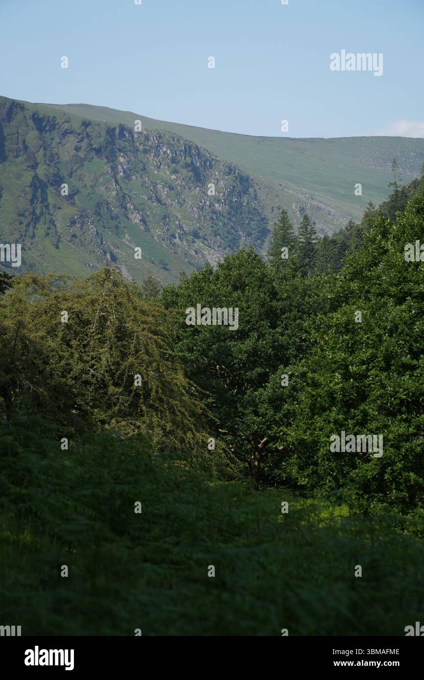 Glendalough, Irland. Malerischer Blick auf die Berglandschaft mit Wäldern und natürlicher Vegetation in diesem Gletschertal. Stockfoto