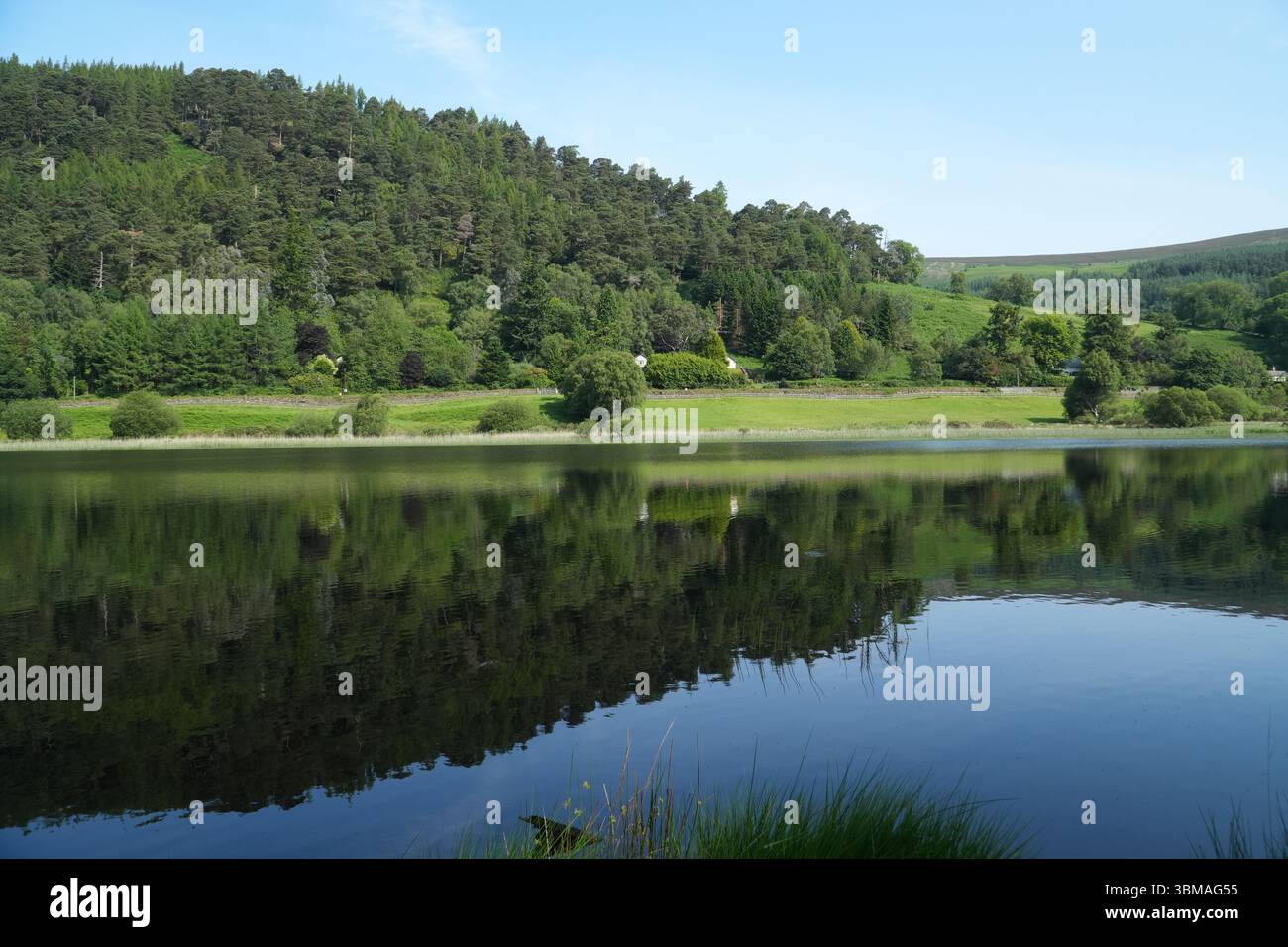 Lower Lake in Glendalough, Irland, bietet eine malerische natürliche Landschaft mit Reflektionen der umliegenden Bäume und Hügel auf dem ruhigen Wasser. Stockfoto