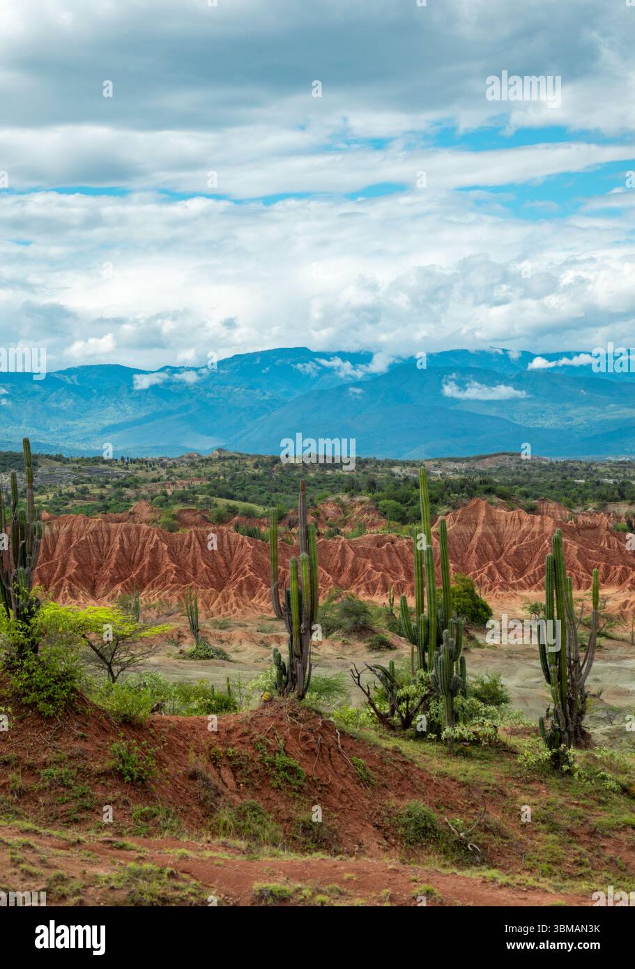 Atemberaubende Aussicht auf die Tatacoa-Wüste in Huila, Kolumbien, mit einzigartigen roten Formationen und üppiger Vegetation unter einem bewölkten Himmel. Stockfoto