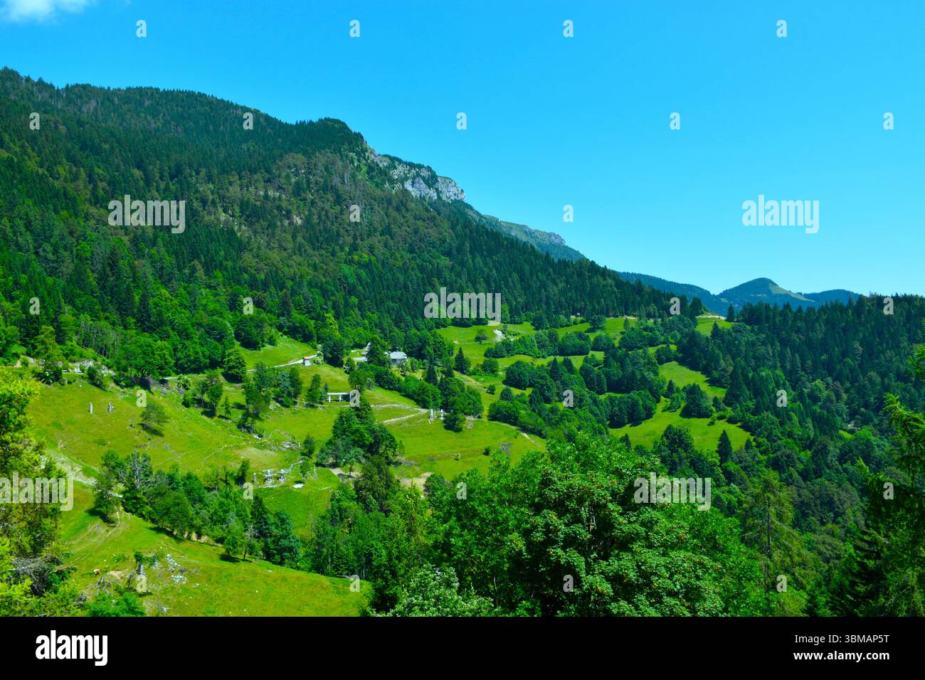 Wiesen und Weiden unter Wald bedeckten Hängen des Ratitovec Berges in Gorenjska, Slowenien Stockfoto