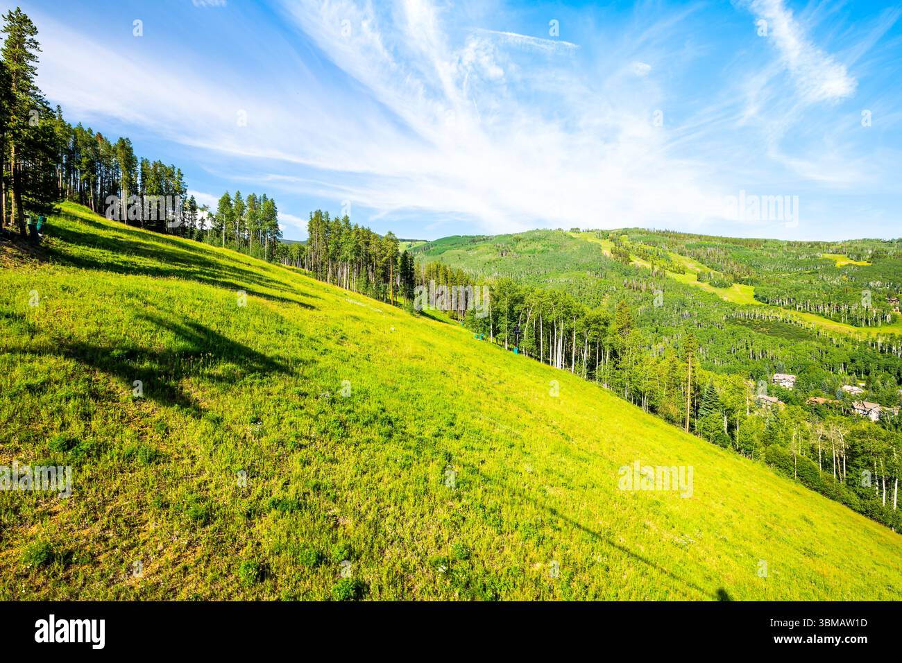 Das Beaver Creek Resort liegt in den Sommerbergen mit steilem, grünem Gras in der Nähe des Royal Elk Trail Peaks Stockfoto