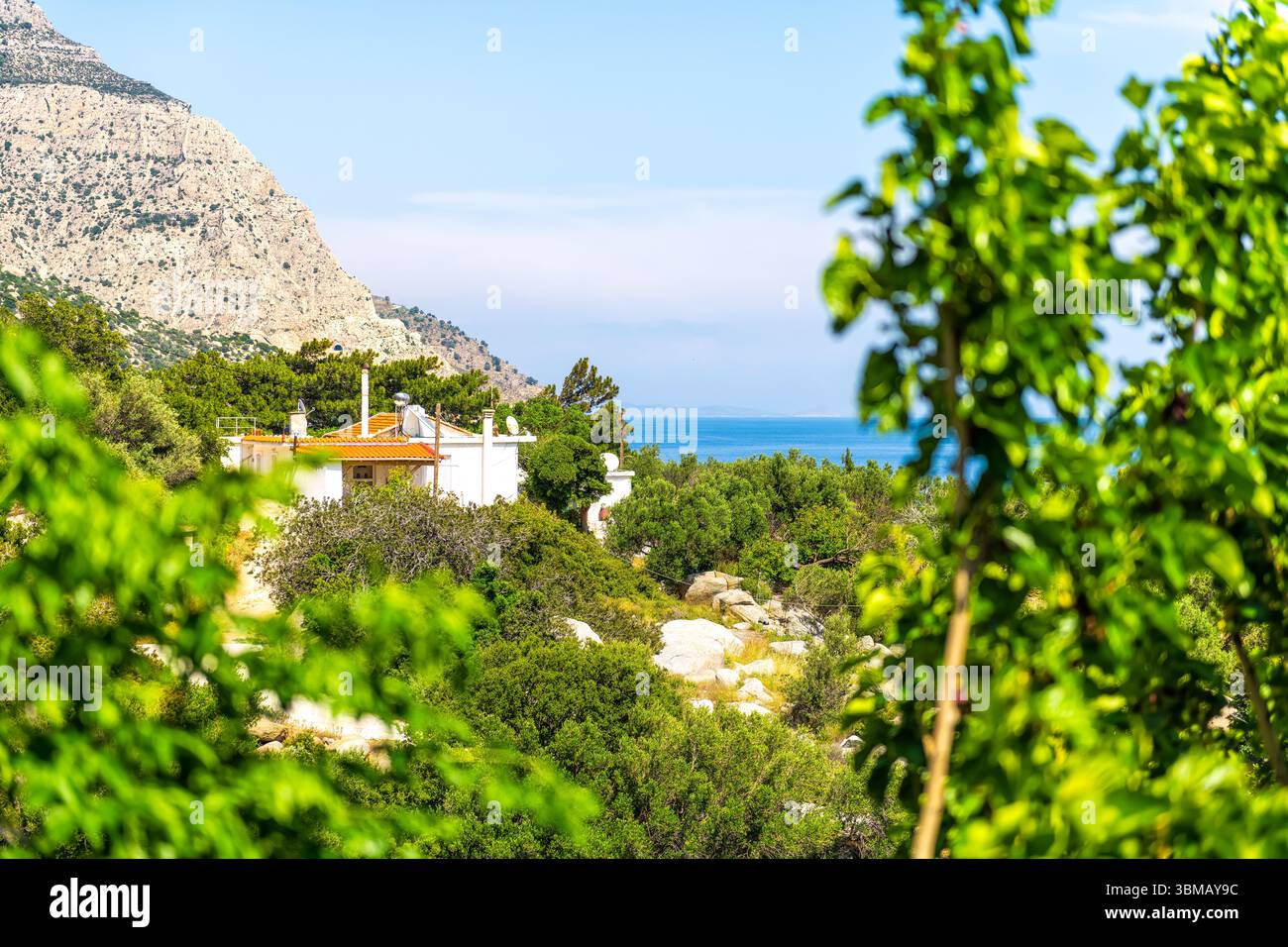 Magganitis Stadt kleines griechisches Fischerdorf auf der Insel Ikaria Griechenland Langlebigkeit blaue Zone, Haus Garten mit Maulbeerobst Bäumen und Bergen Stockfoto