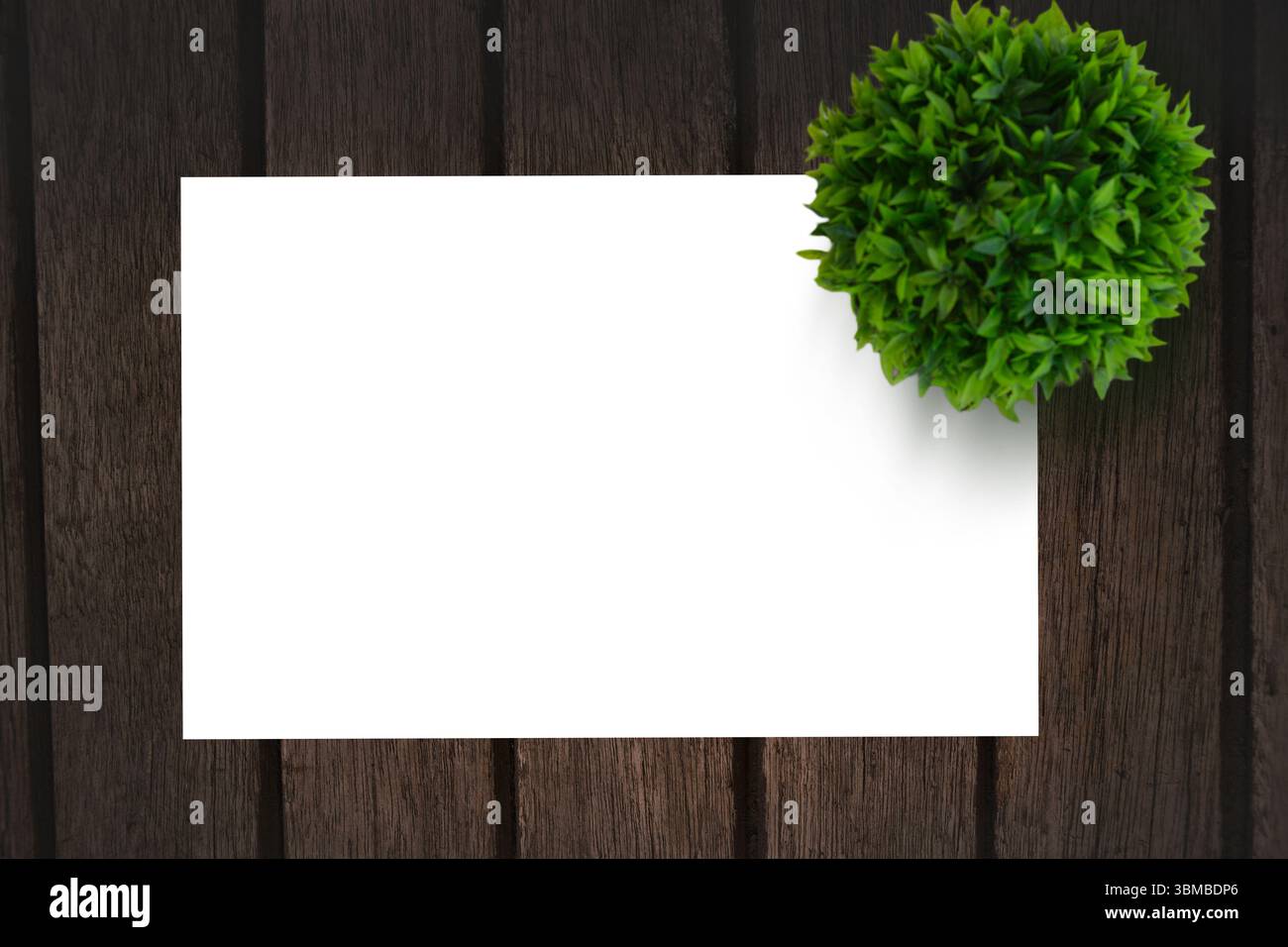 Papier und Anlage auf einem Tisch Stockfoto