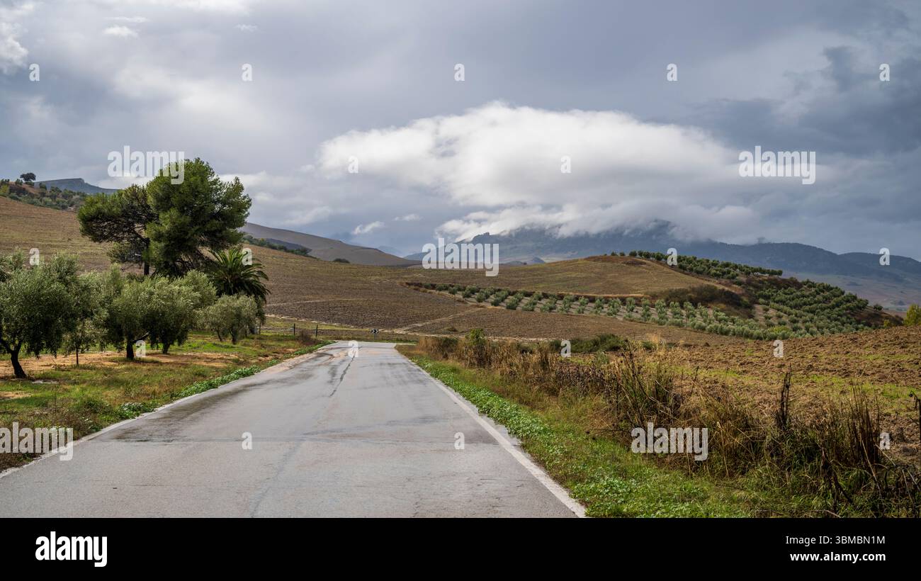 Eine asphaltierte Straße, die durch die wunderschöne Landschaft Andalusiens führt, mit Blick über die sanften Hügel und Olivenhaine. Es ist ein seltener, regnerischer Tag Stockfoto