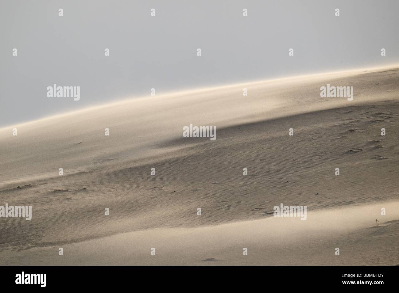 Gekrümmte Sanddüne bei starkem Wind, in der Nähe von Hvide Sande, Jütland, Dänemark, Europa Stockfoto