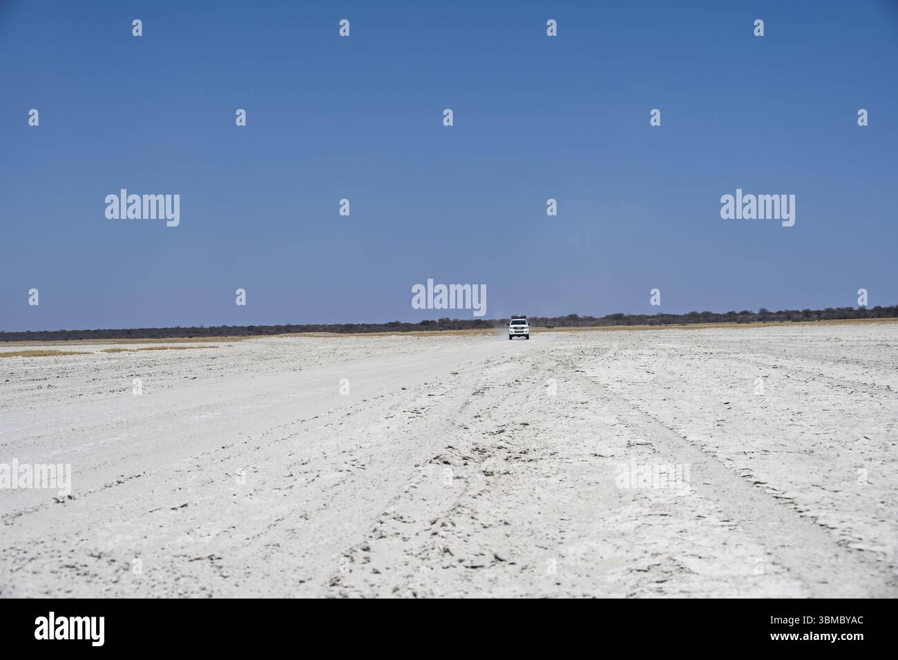 Geländefahrzeug, das auf einer breiten, leeren Saline fährt, Makgadikgadi Salinen, Botswana, Afrika Stockfoto