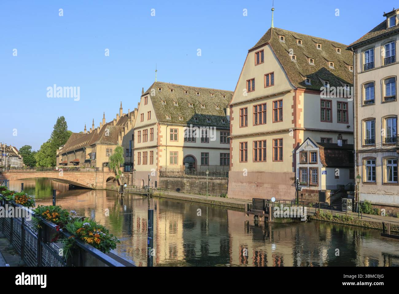 Fluss Ill mit Brücke Pont du Corbeau und historischem Museum, Straßburg Altstadt Straßburg, Unterrhein Département, Elsass Elsass, Region Grand Est, Fra Stockfoto