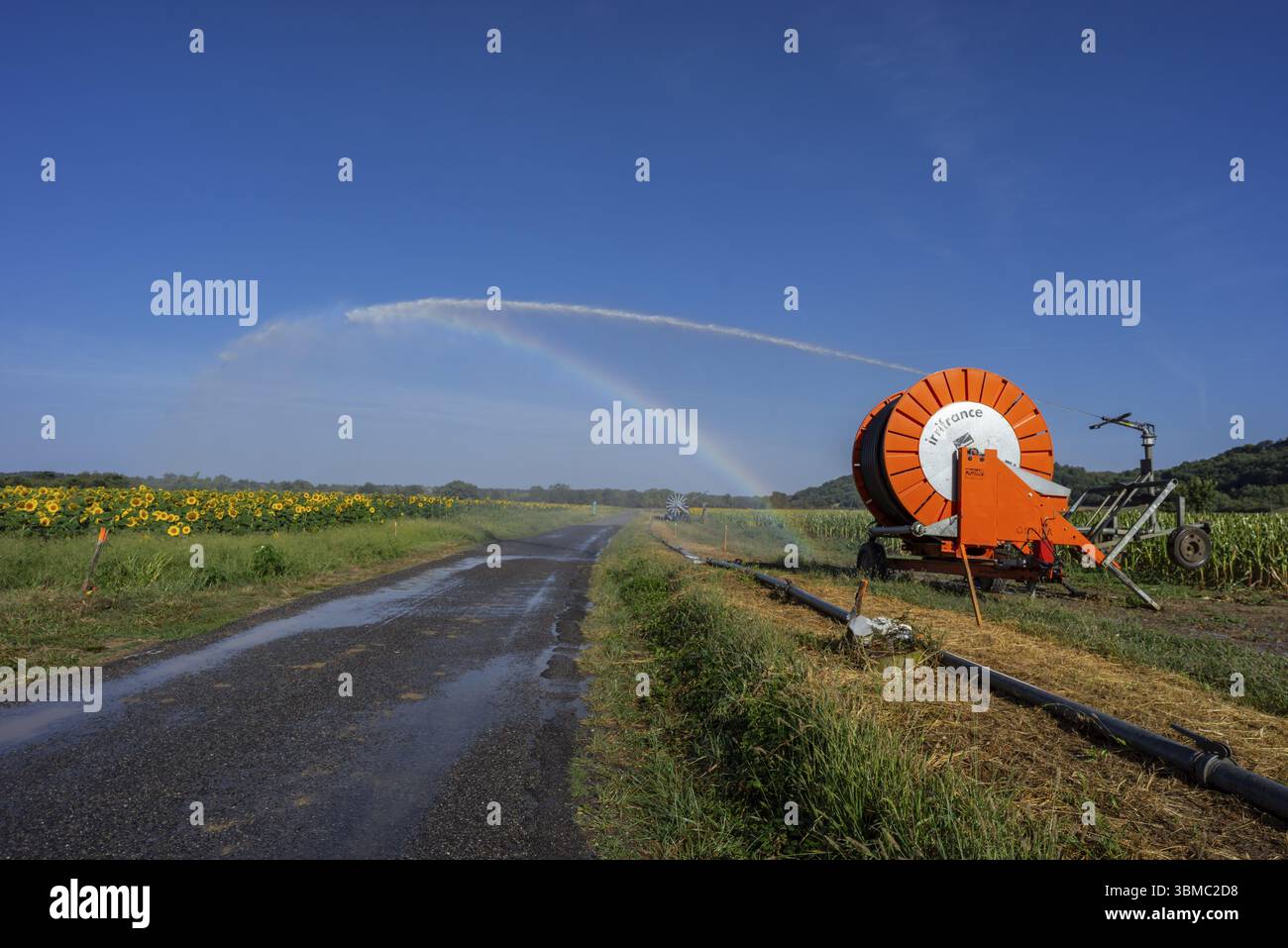 Sprinklerbewässerungsanlage über dem Sonnenblumenfeld, Vals, Midi-Pyrenäen, Departement Ariege, Französische Republik Stockfoto