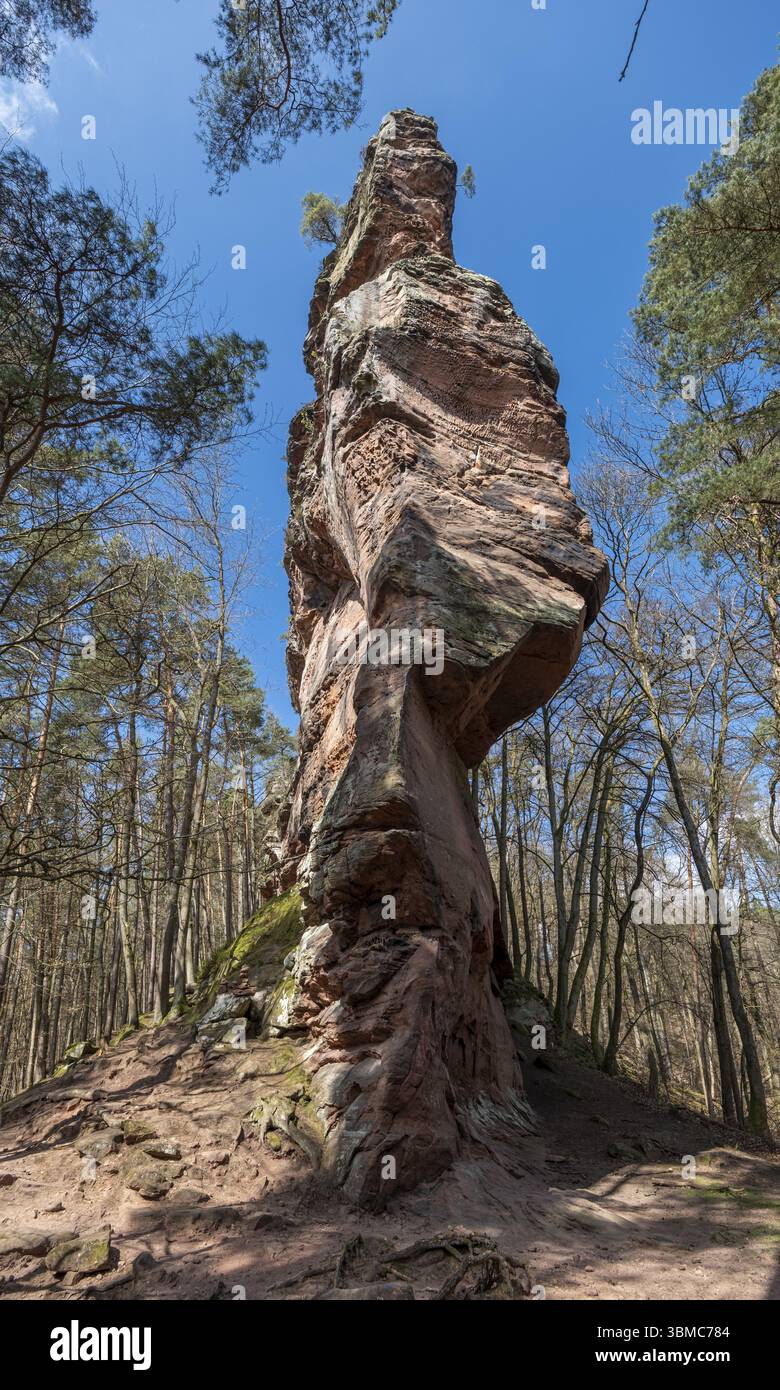 Geiersteinfelsen, Geierstein, Pfälzerwald, Bruchweiler-Bärenbach, Rheinland-Pfalz, Deutschland, Europa Stockfoto