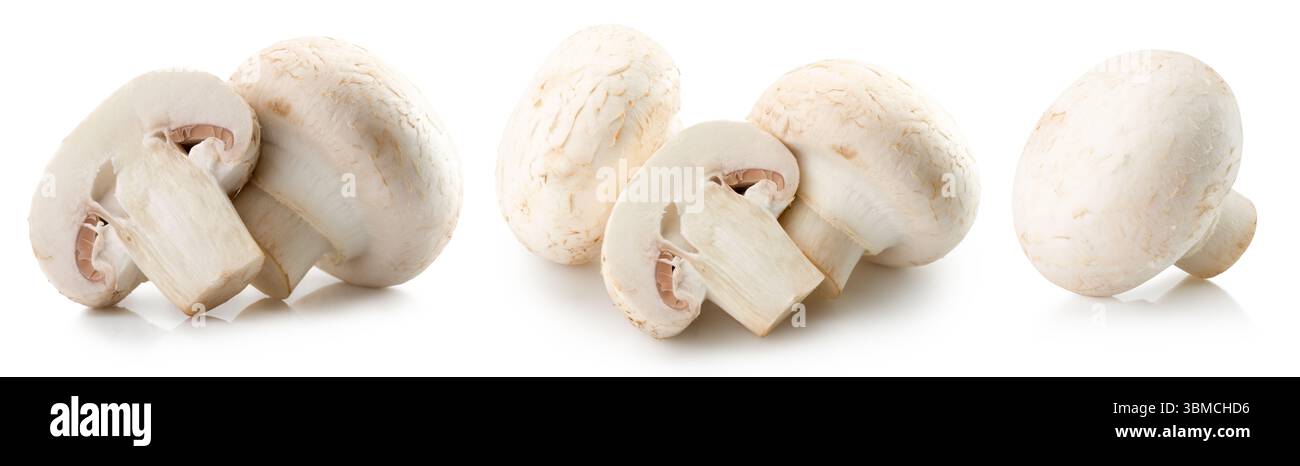 Sekt isoliert auf weißem Hintergrund. Stockfoto