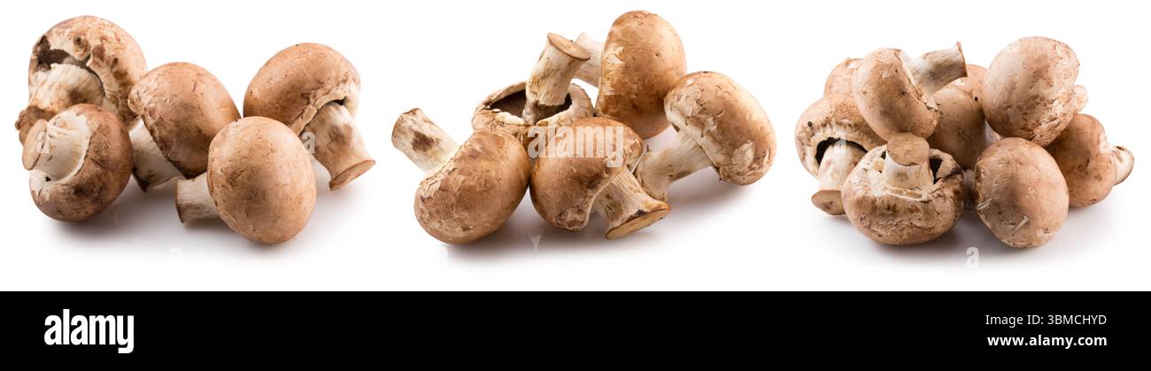 Sekt isoliert auf weißem Hintergrund. Stockfoto