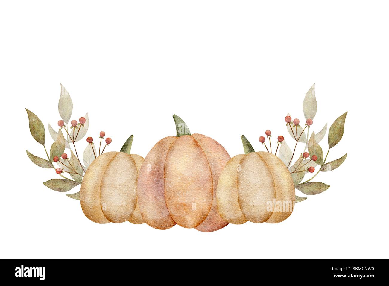 Aquarellillustration Ernte Kürbis gelb, Orange mit Blättern, Beeren. Herbstkomposition Gemüse handgezeichnet auf isoliertem Hintergrund für Stockfoto