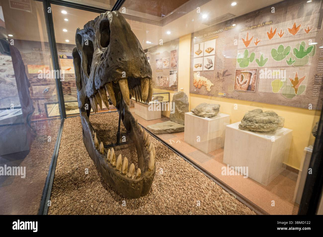 La Rioja Paläontologisches Interpretationszentrum, Igea, La Rioja, Spanien, Europa Stockfoto