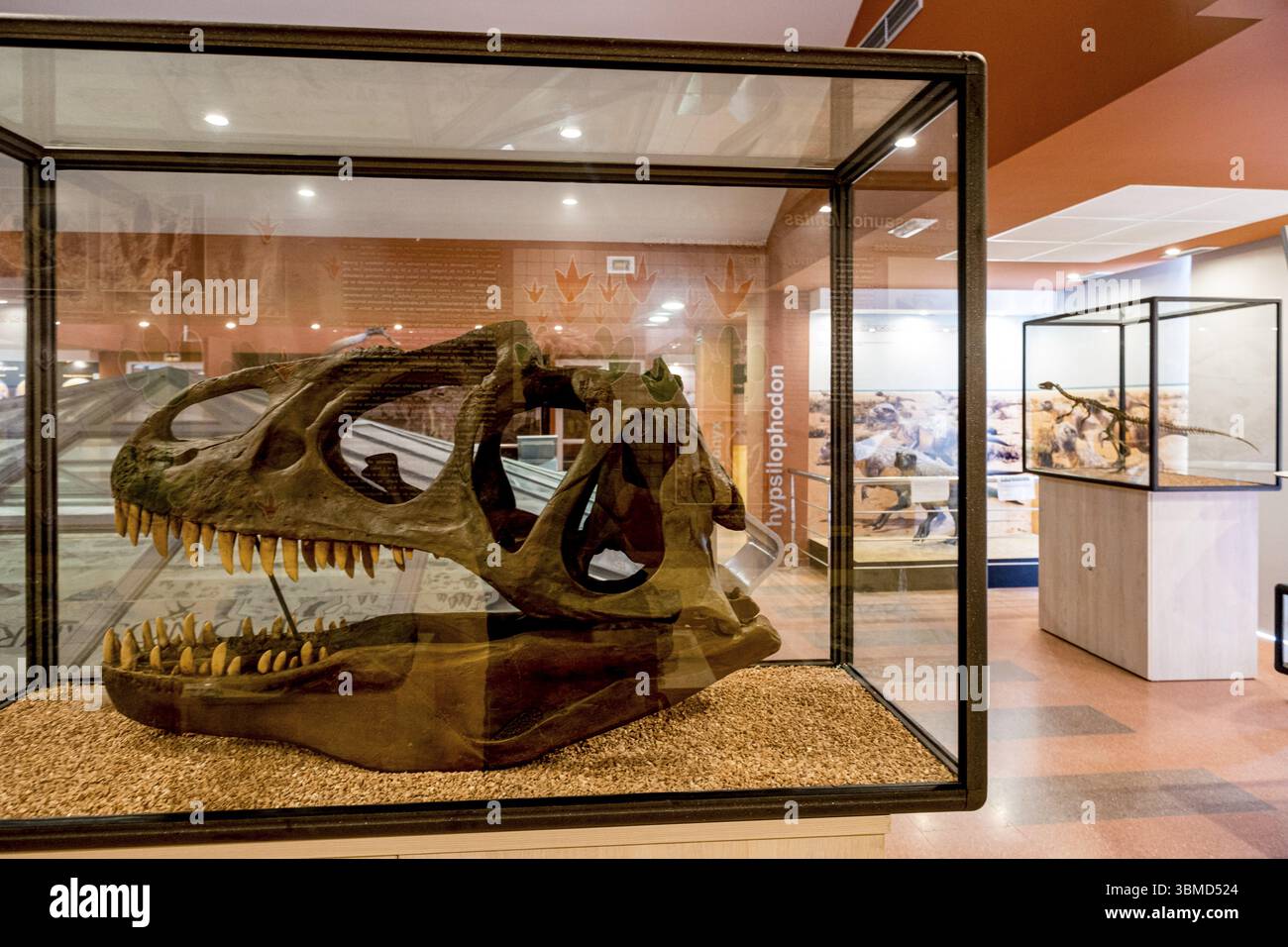 La Rioja Paläontologisches Interpretationszentrum, Igea, La Rioja, Spanien, Europa Stockfoto