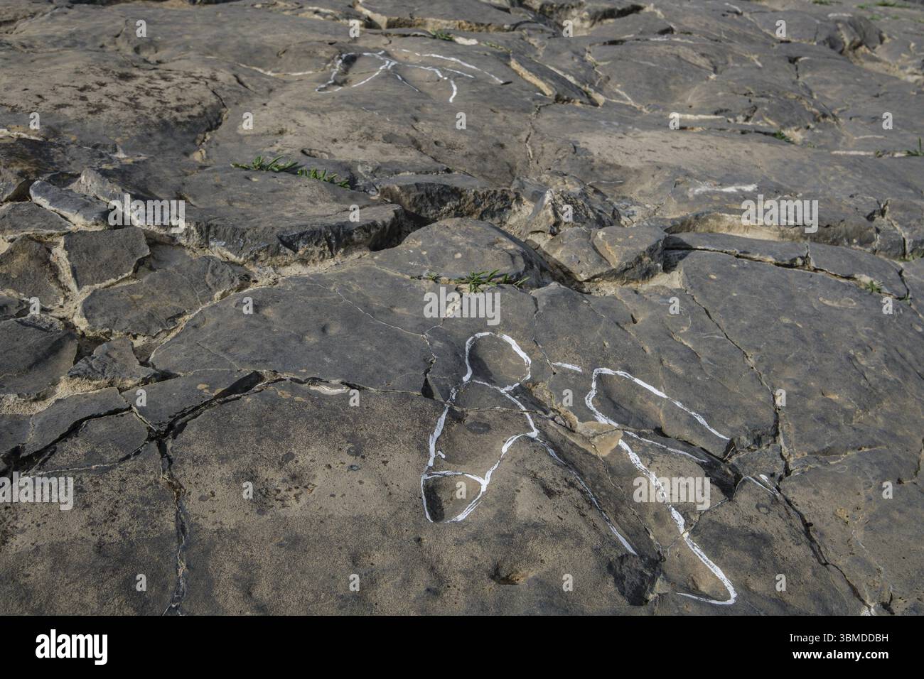 Dinosaurierspuren, die Peladillo-Ära-Ichnites-Deponie, Igea, La Rioja, Spanien, Europa Stockfoto