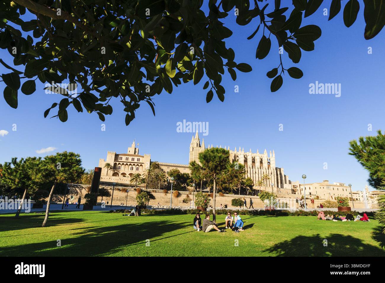 Parque del Mar y Catedral de Mallorca, 13. Jahrhundert, historisch-künstlerisches Denkmal, Palma, mallorca, balearen, spanien Stockfoto