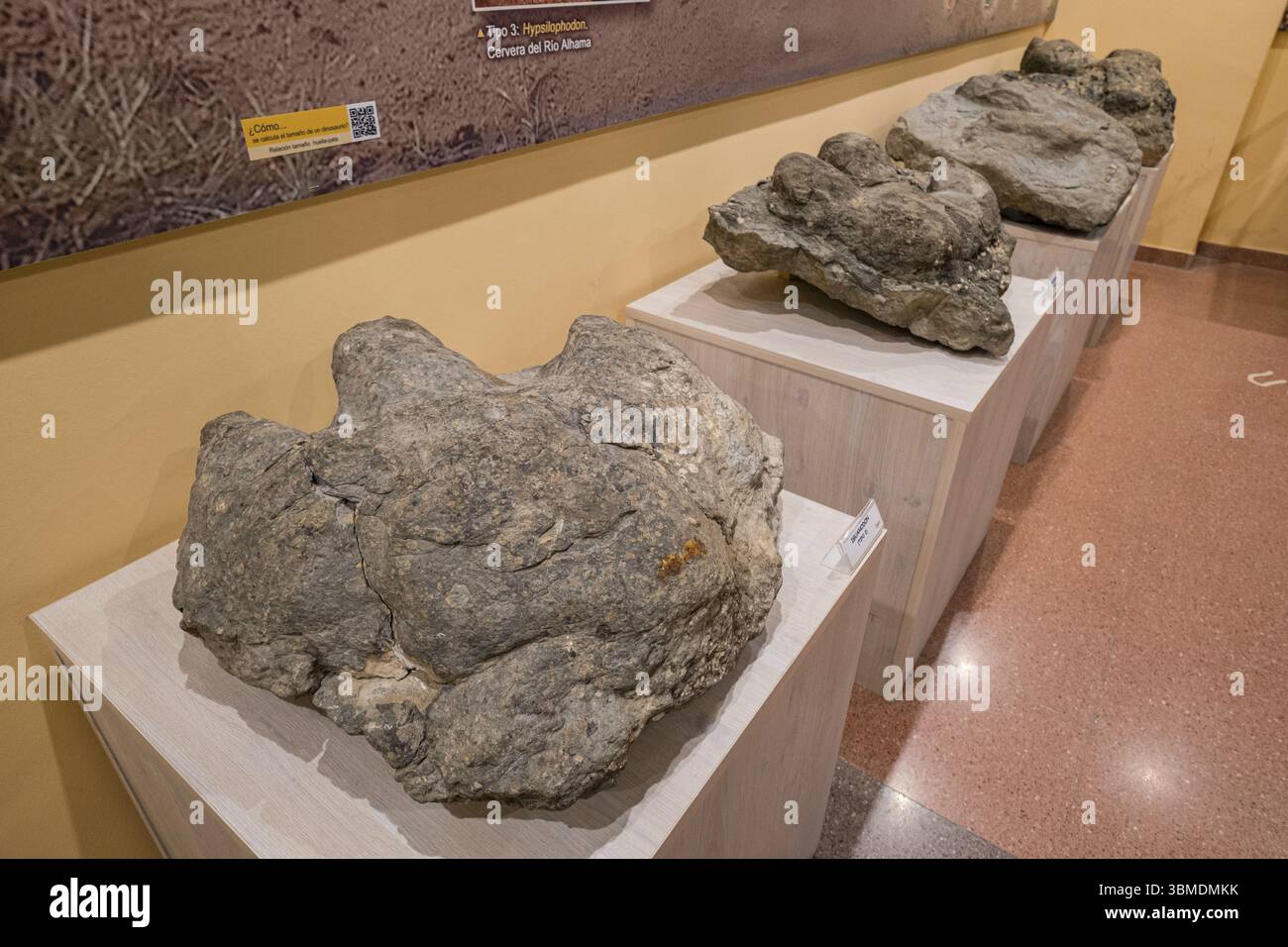Iguanodon Footprints, Paläontologisches Interpretationszentrum von La Rioja, Igea, La Rioja, Spanien, Europa Stockfoto