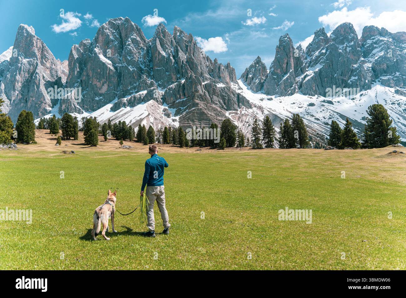 Mann mit Hund, der auf grüner Wiese steht und auf schneebedeckte Gipfel in den Dolomiten, Italien, blickt. Hochwertige Fotos Stockfoto