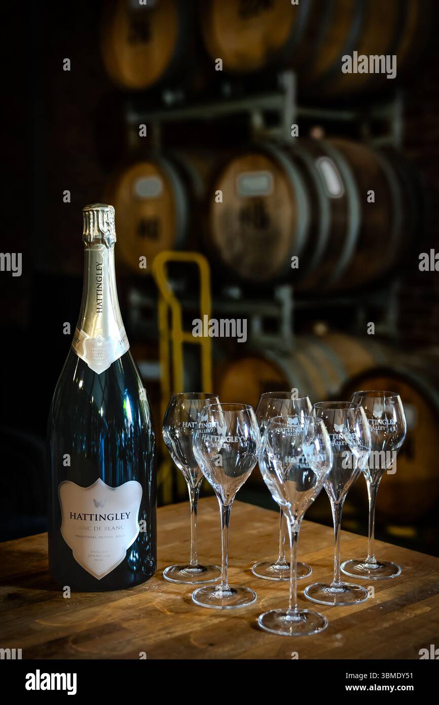 Eine Flasche Hattingley Valley Blanc de Blancs englischer Sekt, elegant präsentiert neben sechs Markenweingläsern in einem rustikalen Verkostungsraum. Stockfoto