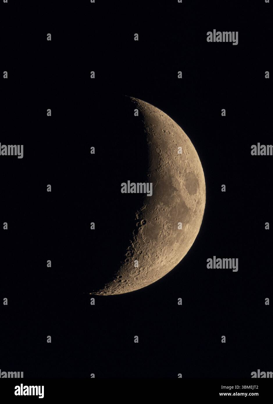 Halbmond, Wachsmund, Braunschweig, Niedersachsen, Deutschland, Europa Stockfoto