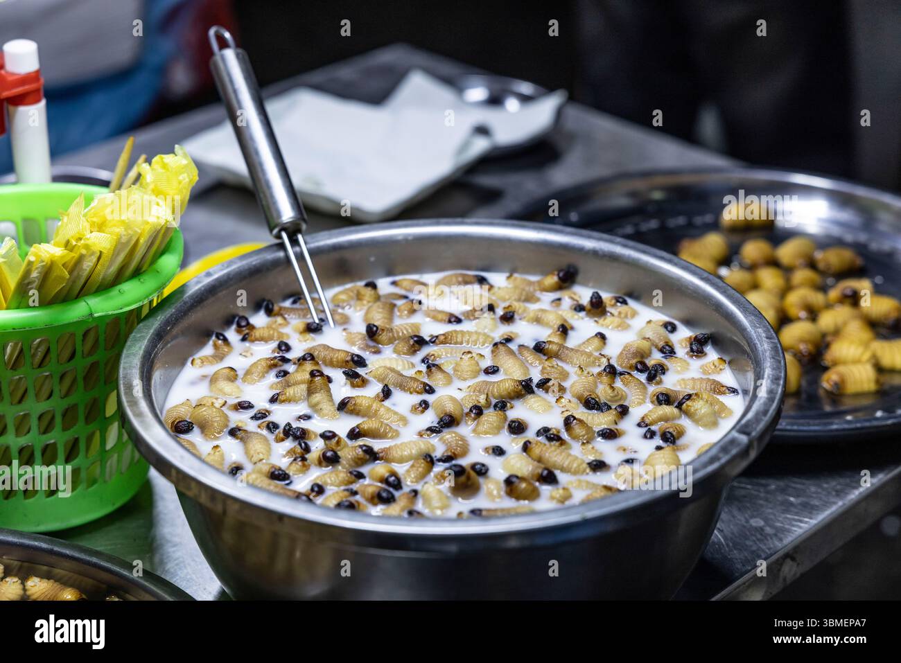 Myanmar (Birma), Yangon, Chinatown, in Milch getränkte essbare Larven, die in sehr heißem Öl frittiert werden sollen. Stockfoto