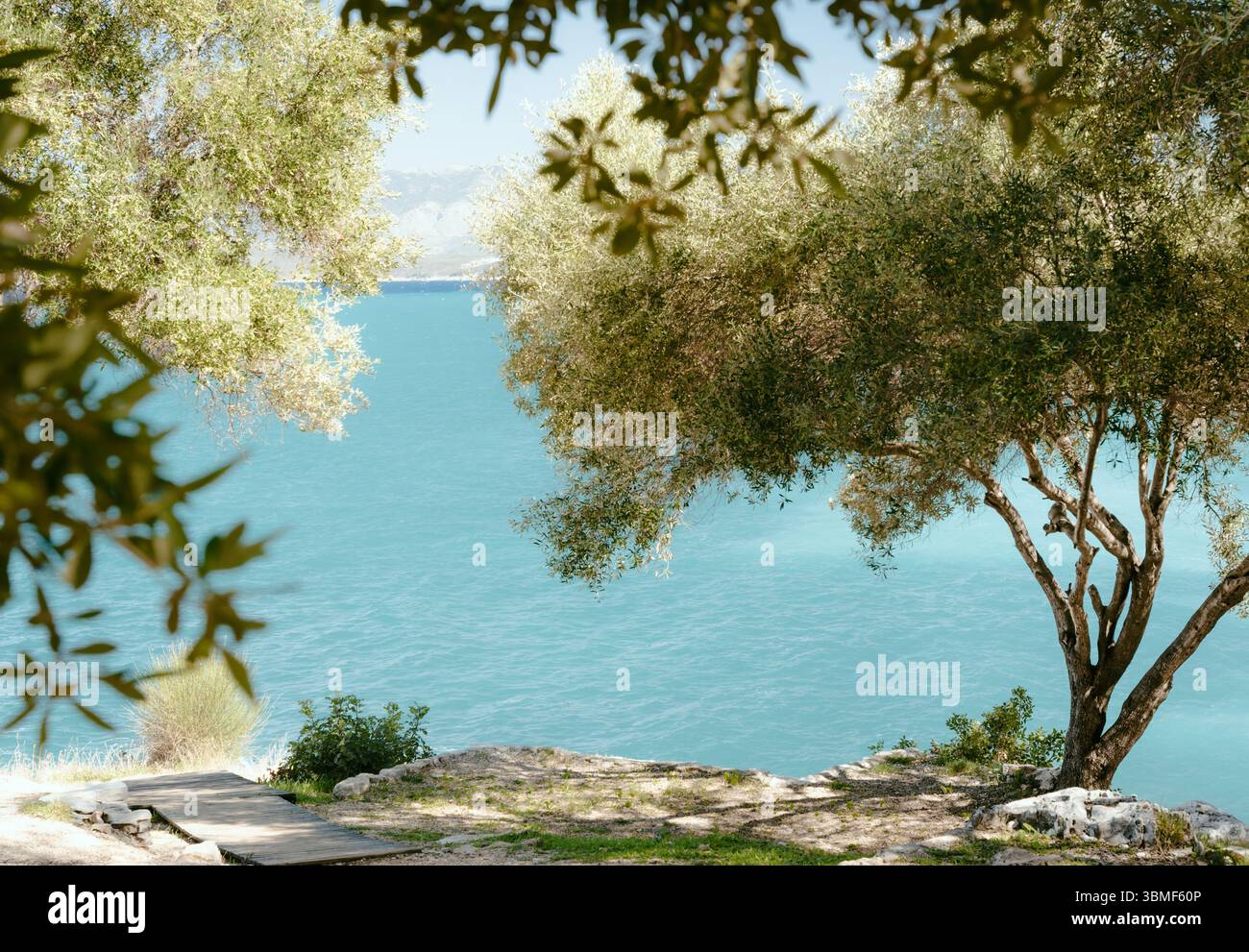 Malerischer Blick durch Olivenbäume auf das Ionische Meer, Korfu, Kassiopi Stockfoto