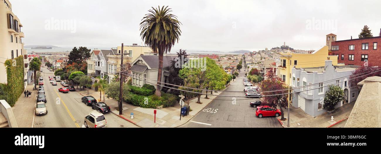Ein großer Panoramablick auf eine wunderschöne Wohnstraße in San Francisco, mit klassischer Architektur, Palmen und lebendigem Grün und Stockfoto